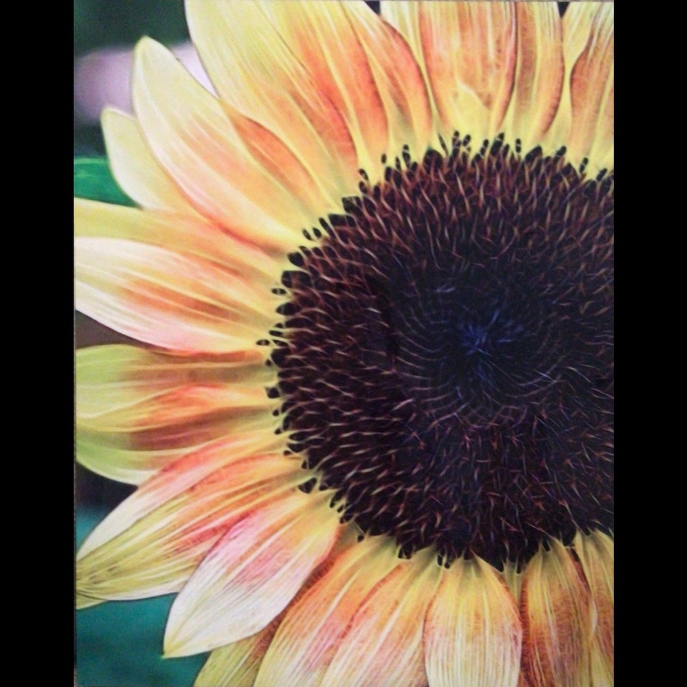 Metal Art Sunflower Print 16x20